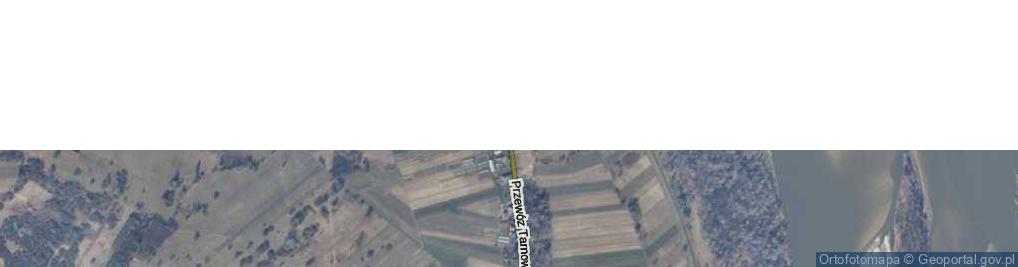 Zdjęcie satelitarne Przewóz Tarnowski ul.
